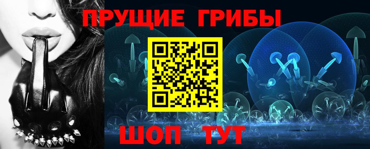 Галлюциногенные грибы MAGIC MUSHROOMS Вышний Волочёк